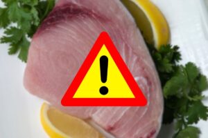 fetta di pesce spada e segnale di pericolo