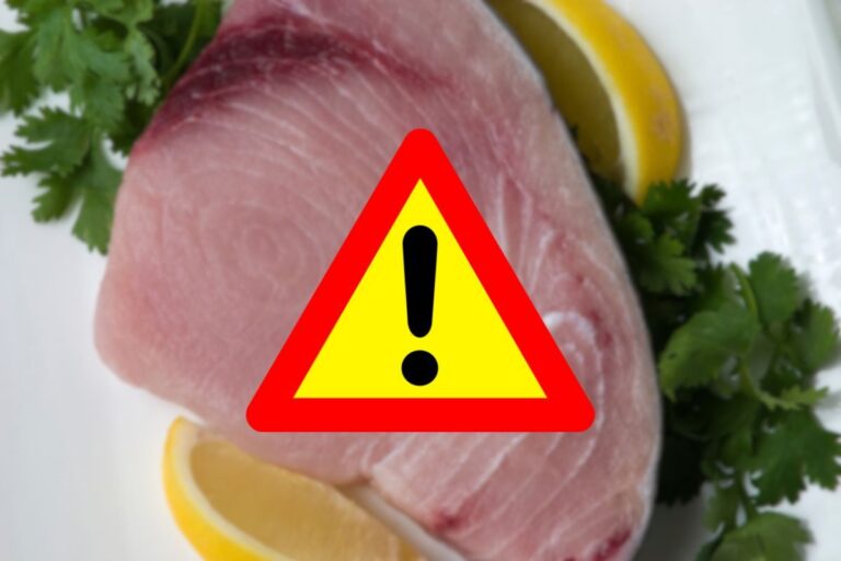 fetta di pesce spada e segnale di pericolo
